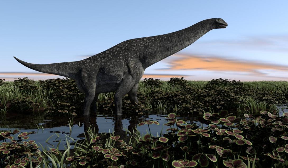 Descubren un titanosaurio que vivió hace 66 millones de años en Argentina-0